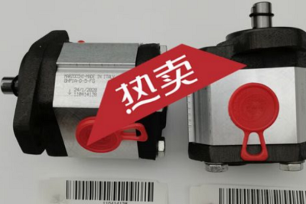 意大利Marzocchi齒輪泵GHP1A-D-7-FG，馬祖奇雙聯(lián)齒輪泵ALP2BK1-D-12-FG-V