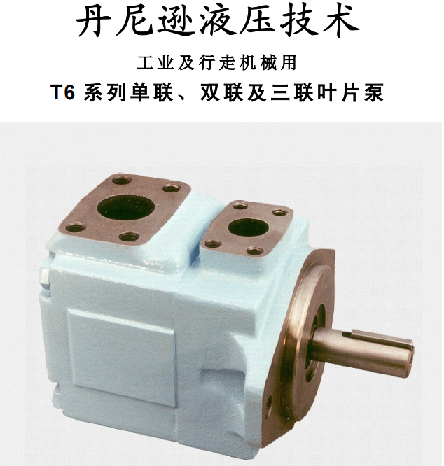 丹尼遜T6 系列單聯(lián)、雙聯(lián)及三聯(lián)葉片泵